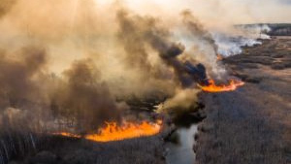 Incendiu uriaş de pădure la Cernobîl